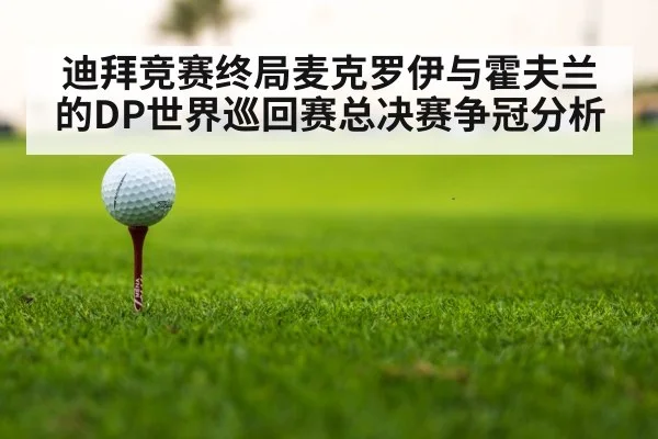 迪拜竞赛终局麦克罗伊与霍夫兰的DP世界巡回赛总决赛争冠分析